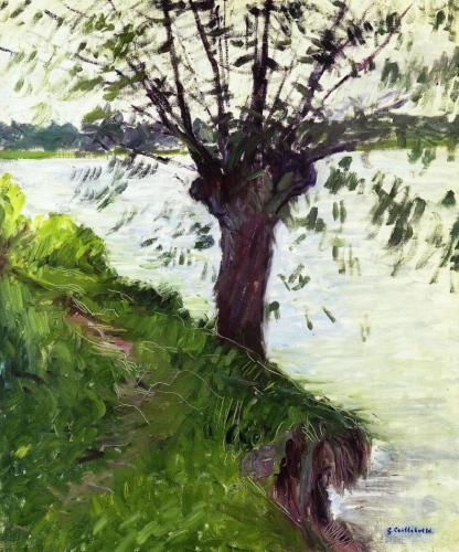 セーヌ河岸の柳の木
