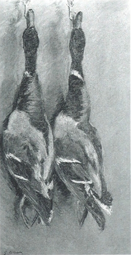二羽の野生の鴨
