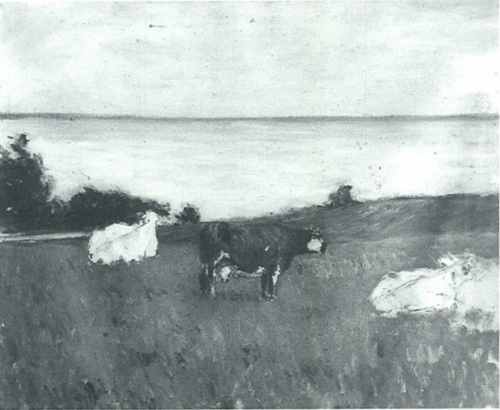 草原の牛、海辺